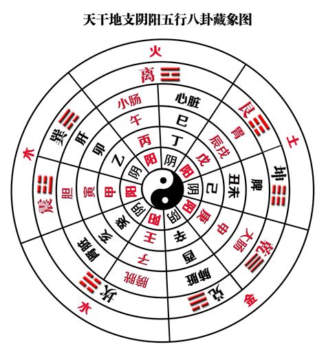 九宫八卦图 2024 風水佈局